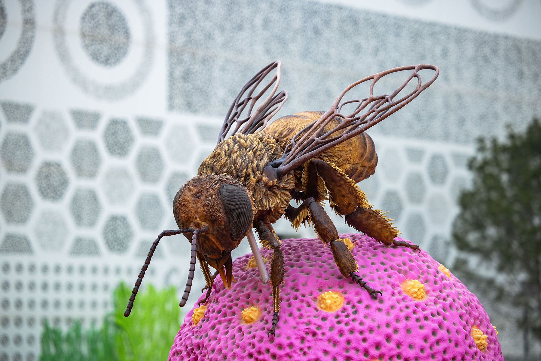 cato-beeseum-gardens-07