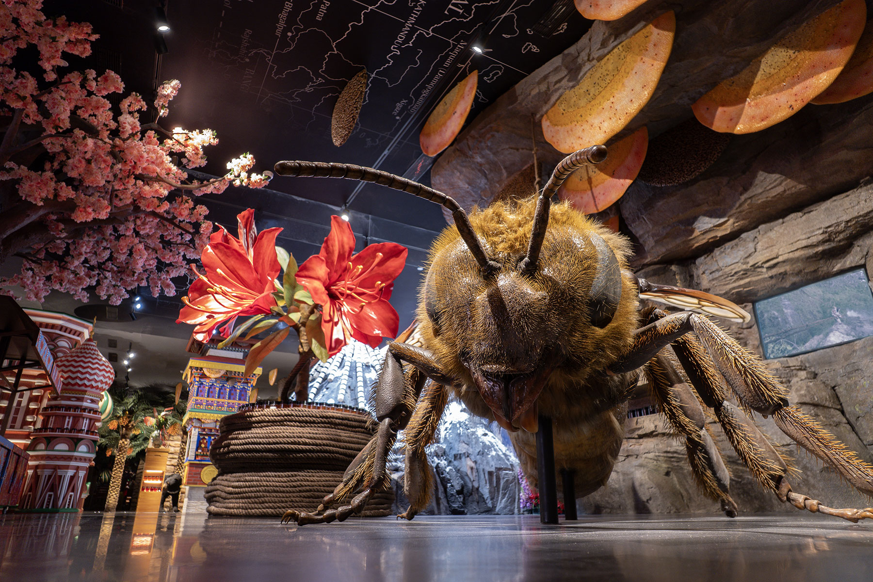cato-beeseum-international-honey-03