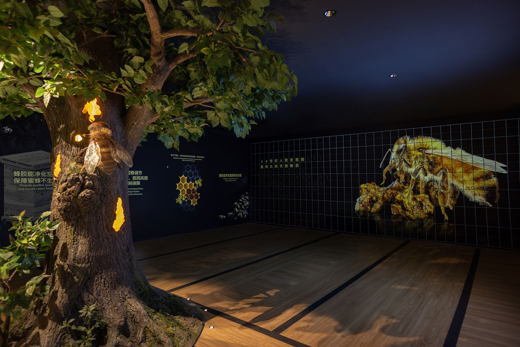 cato-beeseum-the-ground-floor-05