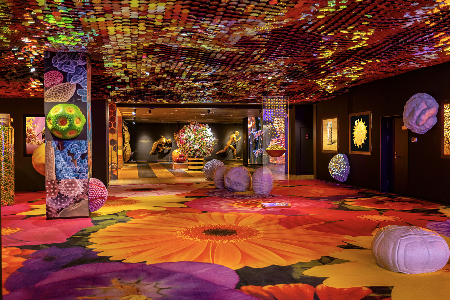 cato-beeseum-the-ground-floor-12