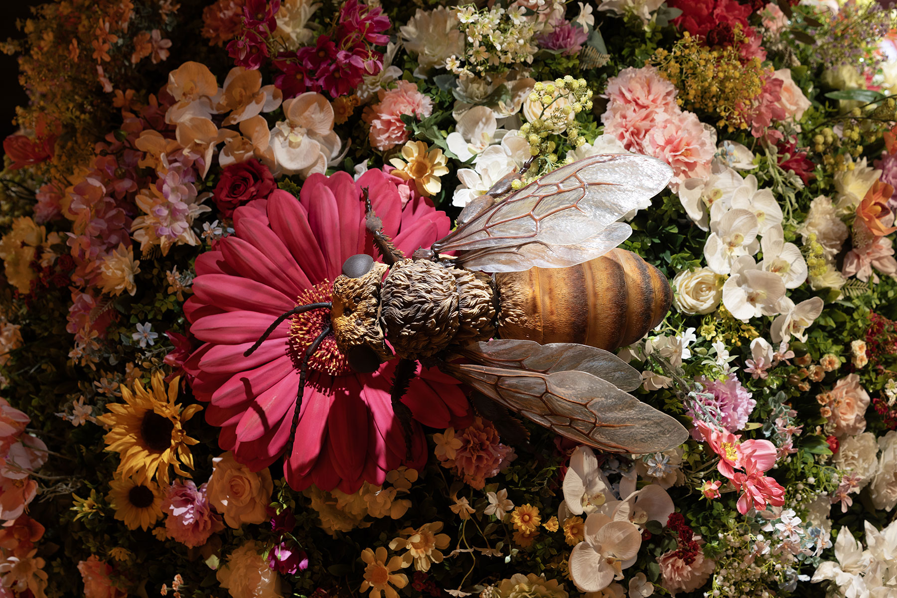 cato-beeseum-the-ground-floor-14