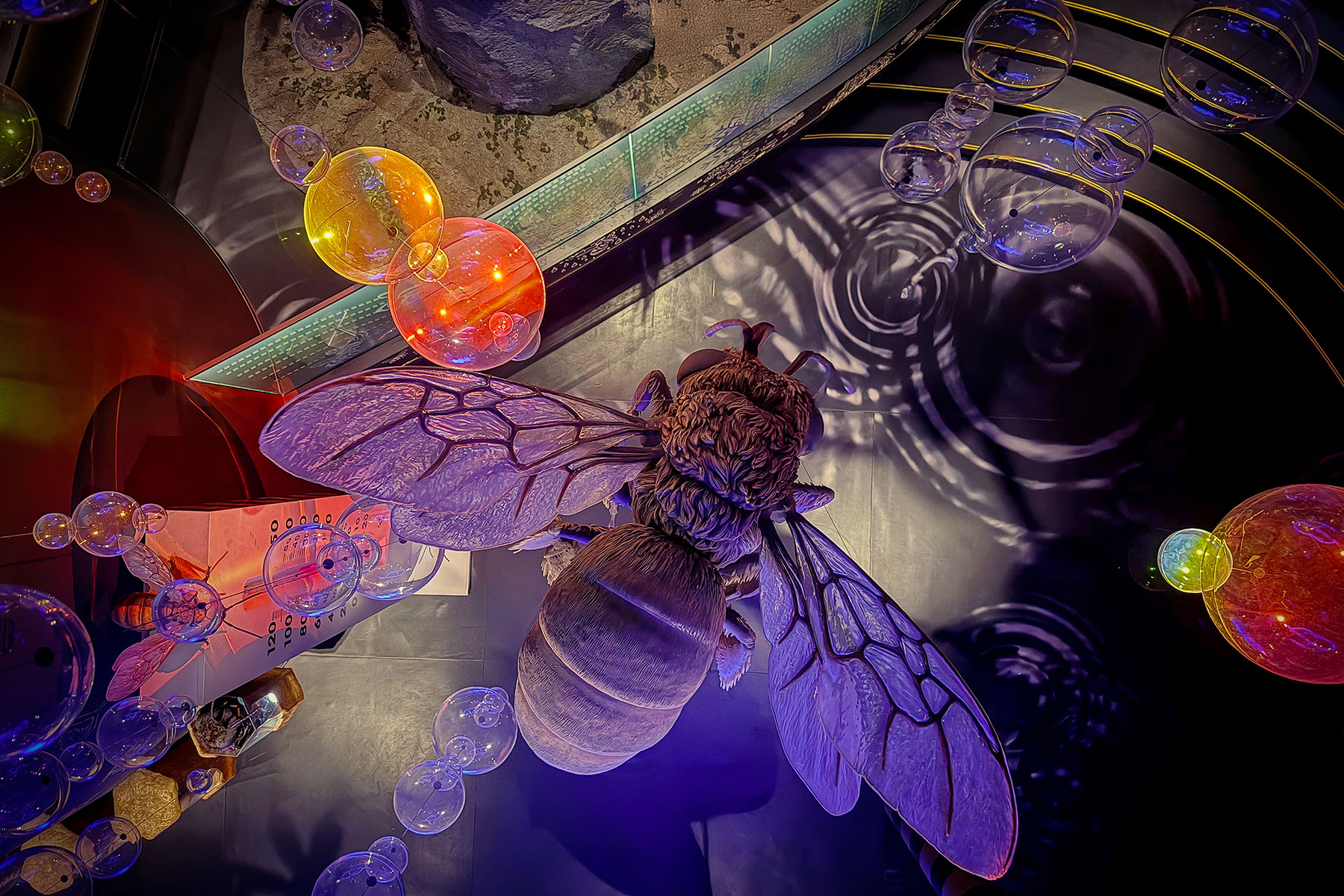 cato-beeseum-the-hive-19